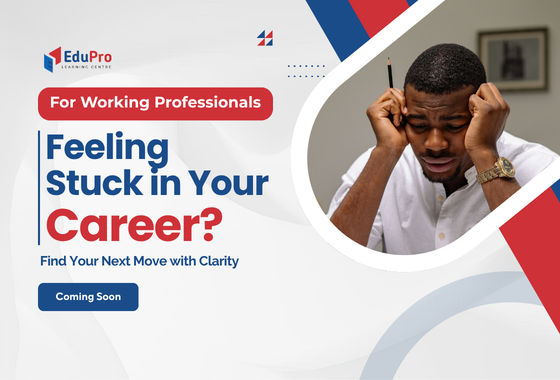 Career Assessment for Professionals
